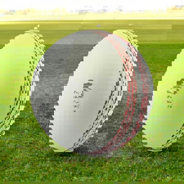 CRICKET-GIFTS - Large Cricket Ball Squeezy Stress Ball | Relieve Tension & Improve Focus