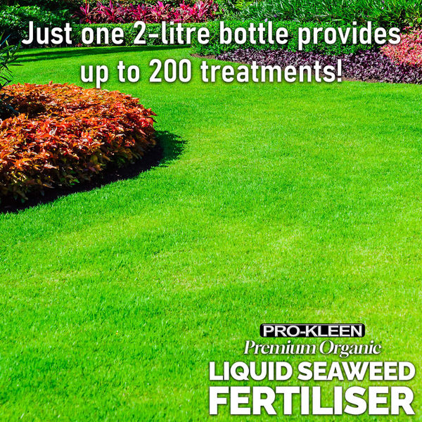 ProKleen Pro-Kleen 4L Liquid Seaweed Fertiliser Ascophyllum Seaweed Extract for Grass Vegetables Fruit Flowers Shrubs Lawns Trees