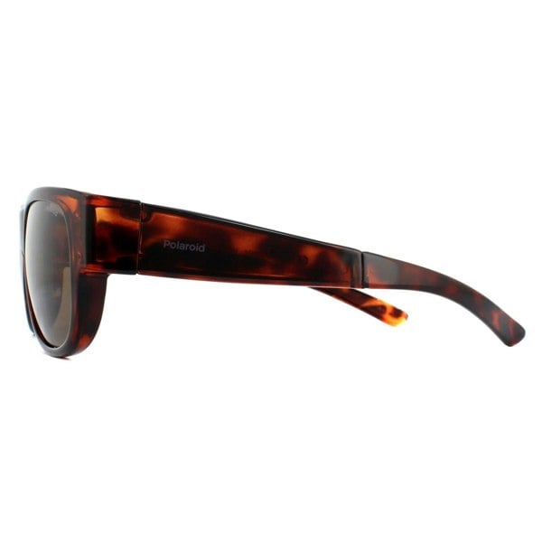 Polaroid Suncovers Fit Over Glasses Sunglasses PLD 9008/S 086 SP Dark Havana Bronze Polarized