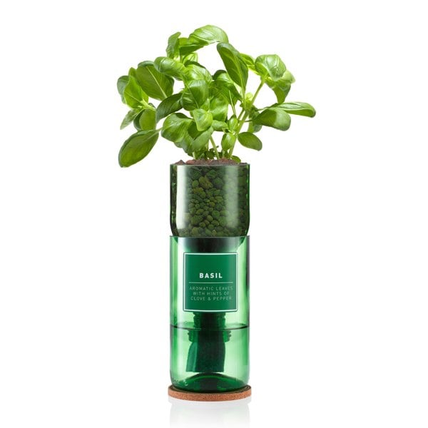 Urban Farm-It Hydro-Herb Basil Kit