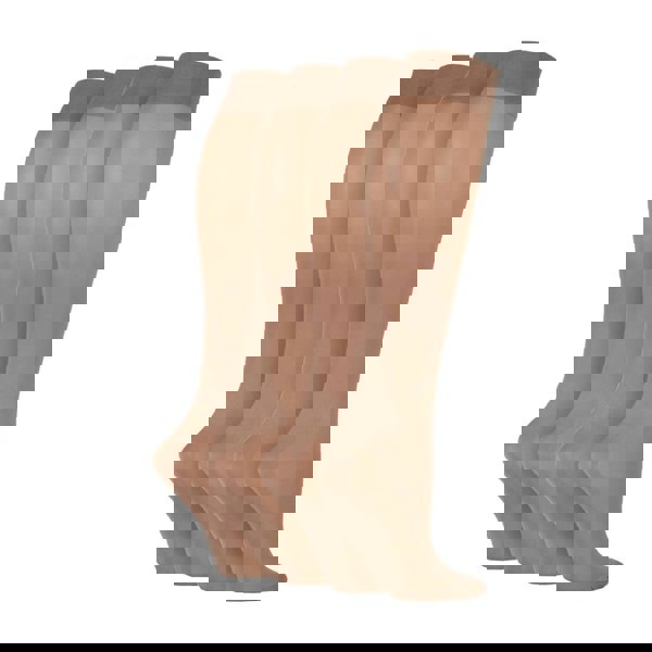 t4option1_2