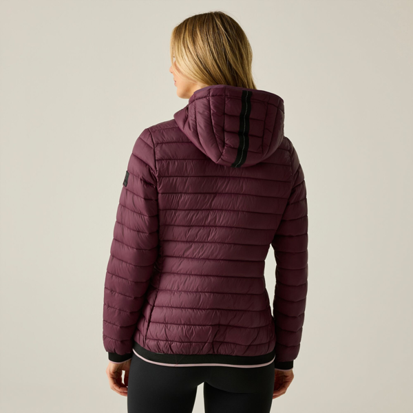 Regatta Womens/Ladies Haile Padded Jacket - Fig