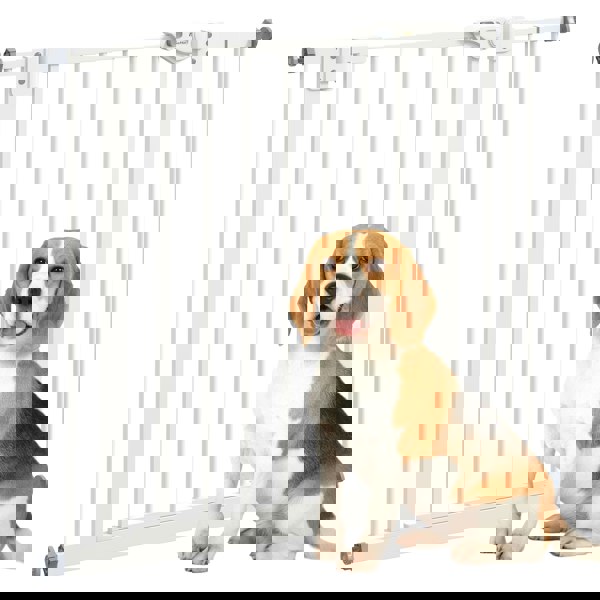 D06-096V02WT