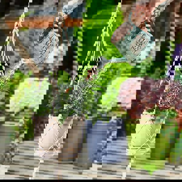 deAO Toys 3 Pack Hanging Basket Indoor Outdoor Hanging Plant basket with 3 Hooks