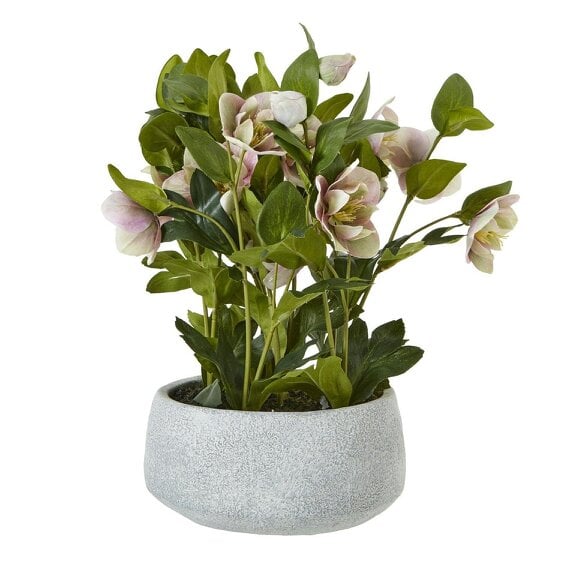Wyld Haus Artificial Plant Variegated Pink Hellebore Plant In Grey Ceramic Pot