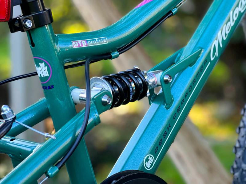 Dallingridge Melody 20" Girls Full Suspension Mountain Bike - Metallic Teal/White