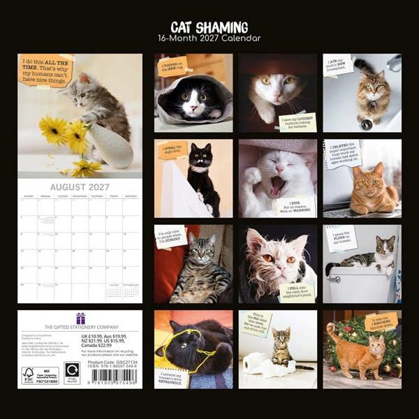 Cat Shaming Calendar 2027, Wall Calendars, Month To View, Cats, Gift