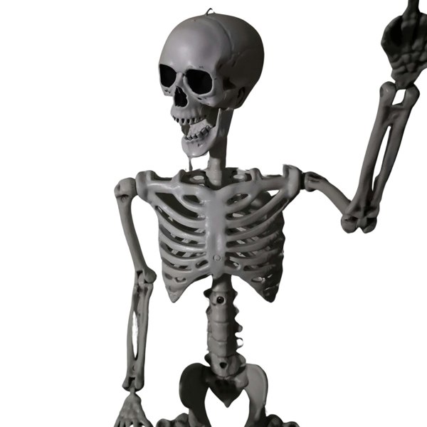 Samuel Alexander 90cm (3ft) Posable Full Body Halloween Skeleton Decoration with Movable Joints