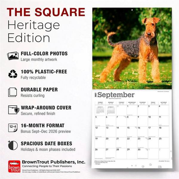 Airedale Terriers Calendar 2027, Wall Calendars, Month To View, Dogs, Gift
