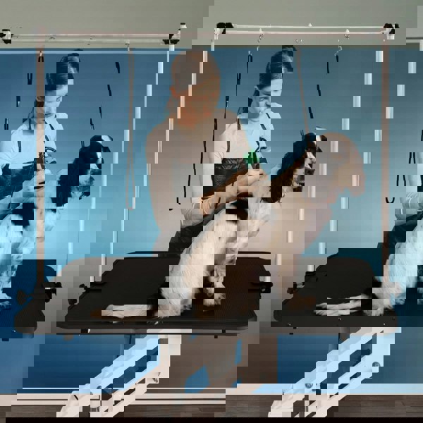 Monstershop White Hydraulic Grooming Table - Black Table Top