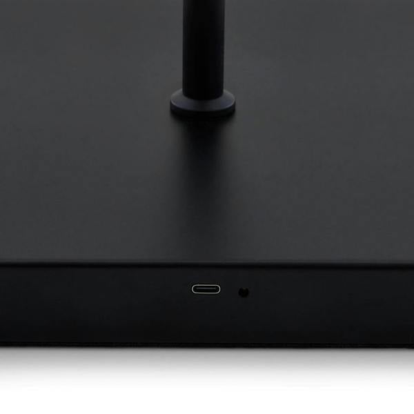 Lustre Black LED Rechargeable Floor Lamp