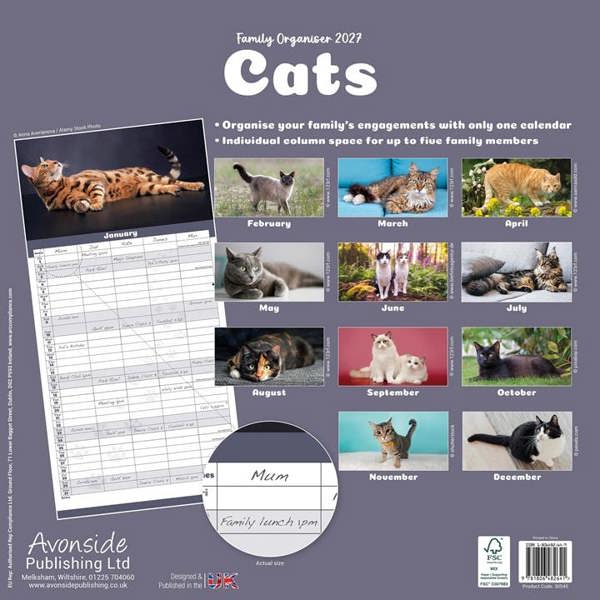 Cats Family Organiser 2027, Family Planners, Month To View, Cats, Gift