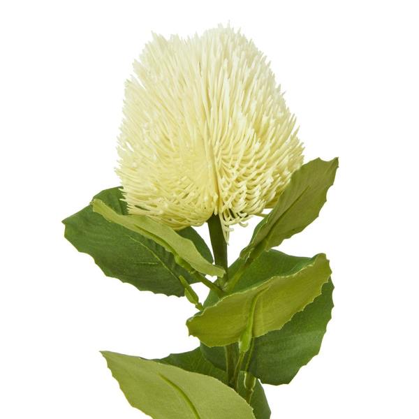 Wyld Haus Set of 3 Artificial Flowers Cream Banksia Stems