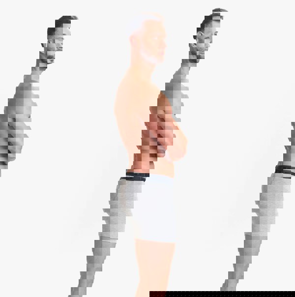 Ted Baker Ted Baker 3-Pack Cotton Boxer Briefs Mens Boxer Briefs Heather Grey/Bowwow/Reflecting Pool