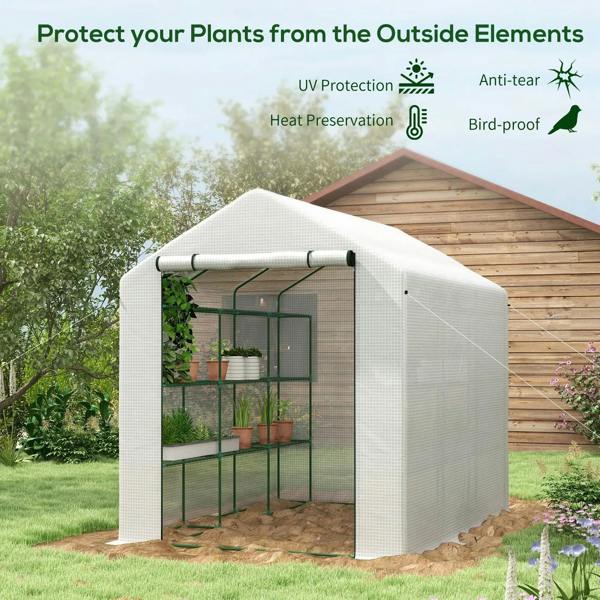 Walk-in greenhouse with shelves, white PE cover and green frame with door opening.