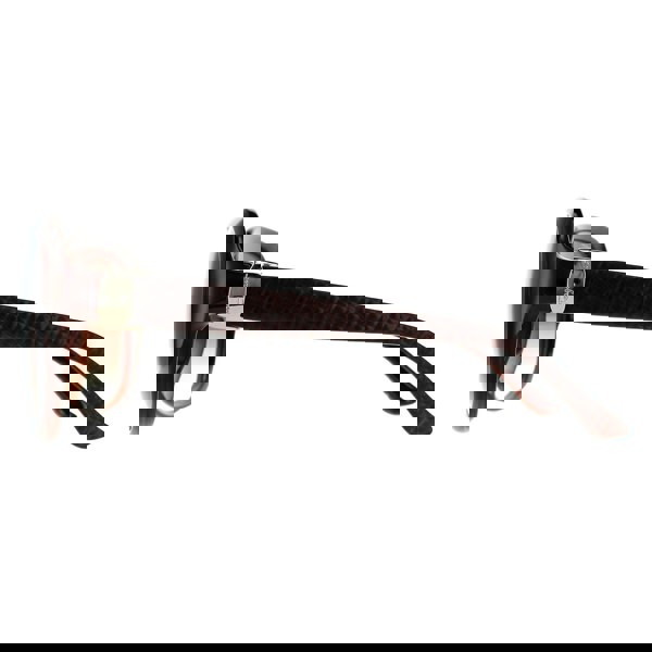 Salvatore Ferragamo Sunglasses SF739SA 210 Brown Brown Gradient