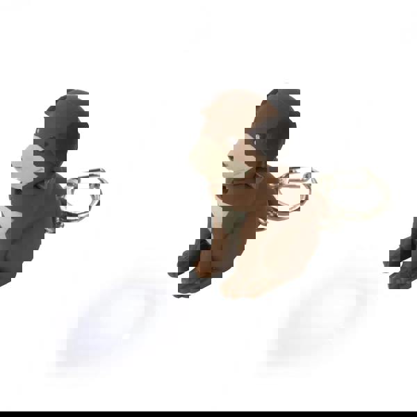 Regatta Great Outdoors Childrens/Kids Animal Keyring Torch - Brown - 