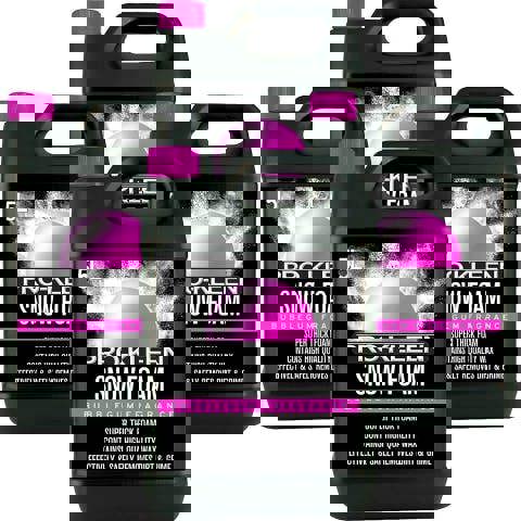 ProKleen Pro-Kleen Snow Foam - Produces Thick Foam to Remove Dirt, Grime, Grease and More 20L Bubblegum