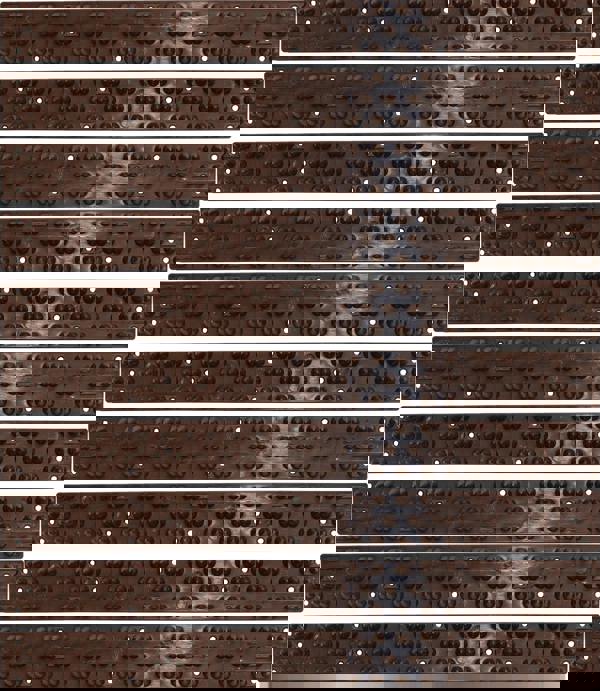 St Helens Home and Garden Small Animal Anti Climb Wall and Fence Deterrent Spikes - Pack of 10