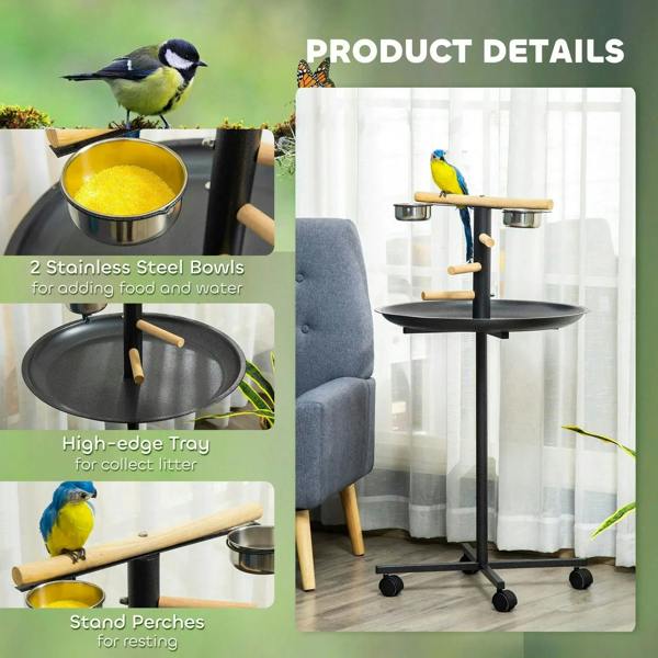 Parrot perch stand product details view with stainless bowls, round tray, and wooden perches