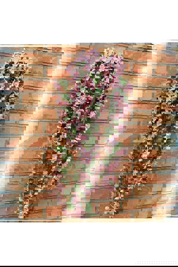 Living and Home Hanging Artificial Flowers Vine Home Decoration