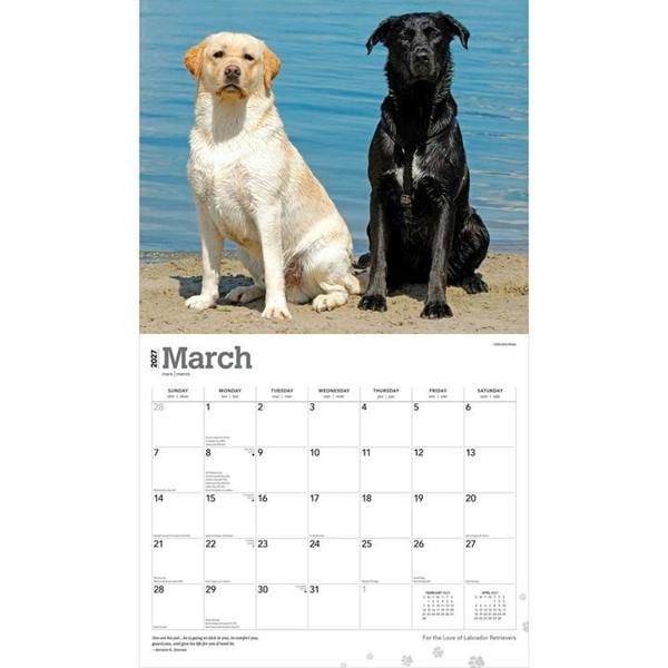 For The Love Of Labrador Retrievers Deluxe Calendar 2027, Deluxe Calendars, Month To View, Dogs, Gift
