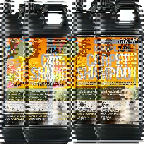 ProKleen Pro-Kleen MAXPLUS Carpet Shampoo Citrus And Cedar 10L