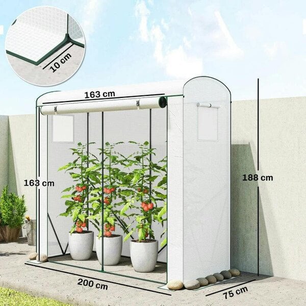 Mini Greenhouse, Garden Tomato Growhouse with Roll-Up Door and 2 Mesh Windows, PE Cover, 200 x 75 x 188 cm, White