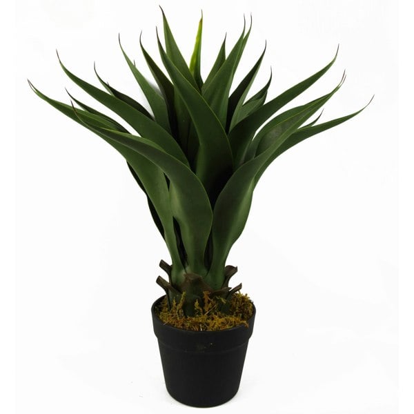 Leaf 55cm Artificial Tropical Yucca Plant