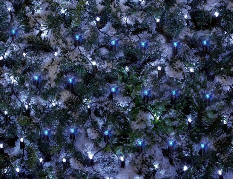 Samuel Alexander 1.7m x 1.2m 180 LED Premier Indoor Outdoor Multifunction Christmas Net Light with Timer in Blue & White