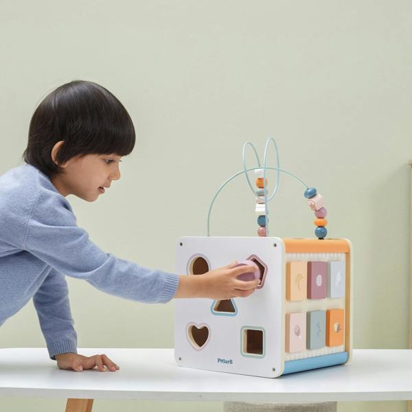 Polar B 8 in 1 Activity Cube