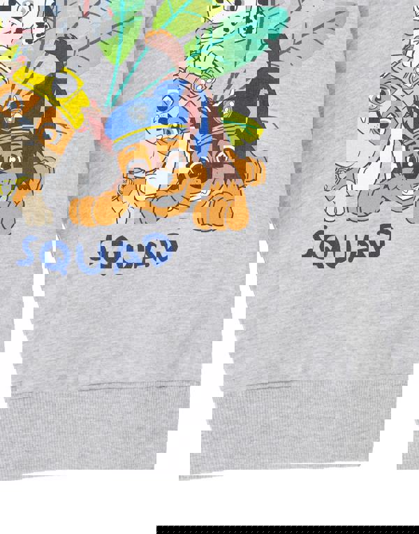 Paw Patrol Boys Grey Advernture Squad Hoodie