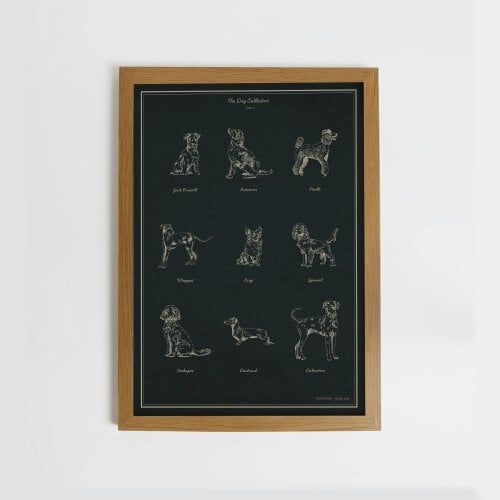 Joules The Best in Show 50 X 70 Wood Frame | Blue