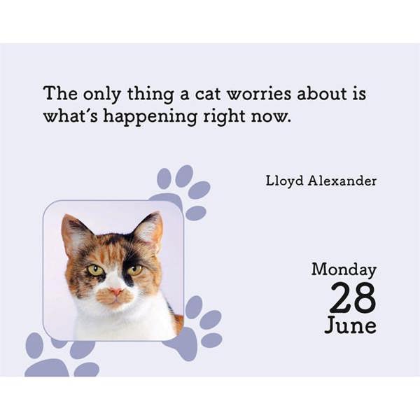 Cats Mini Desk Calendar 2027, Desk Calendars, Day To View, Cats, Gift