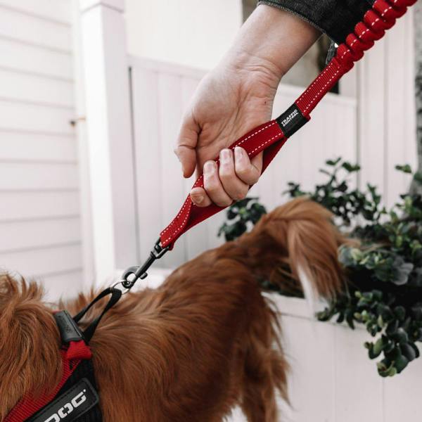 EzyDog Zero Shock Dog Lead in Red