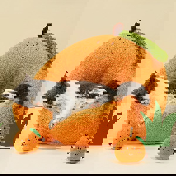 CATBED4FREE-Weilai-Weilai Concept