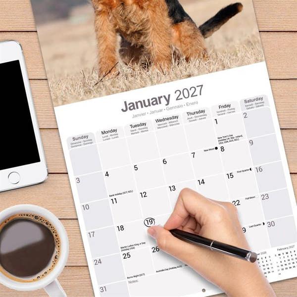 Welsh Terrier Calendar 2027, Wall Calendars, Month To View, Dogs, Gift