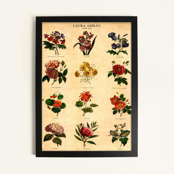 https://link.assetfile.io/7LICD8hUggBfH5VMNYTpaC/AD3225_141819+BOTANICAL+FLOWERS+50x70.jpg