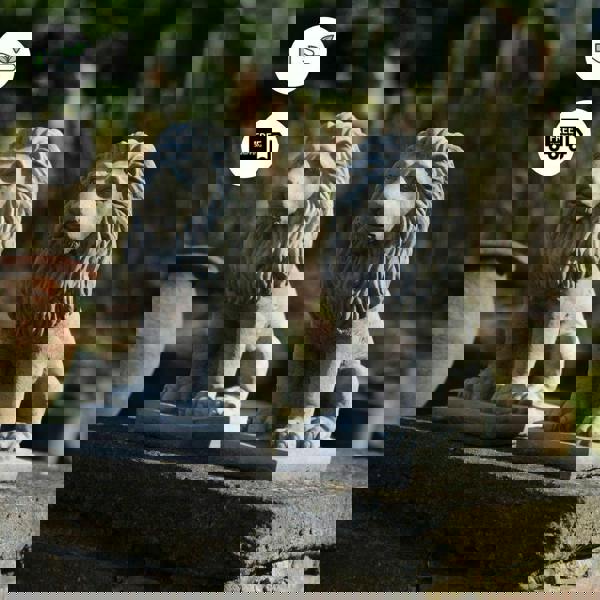 Pair of Small Bavarian Lion Garden sculptures