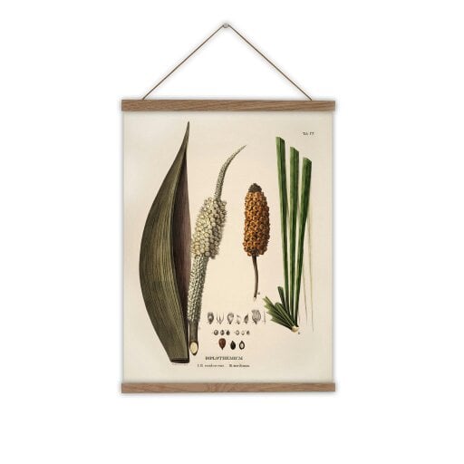 Love Frankie Botanical Wall Hanging