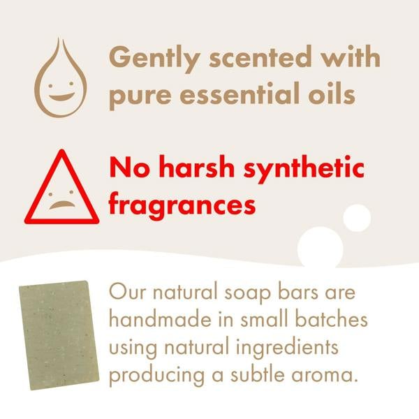 Friendly Soap 3 Pack - Natural Soap - Cedarwood