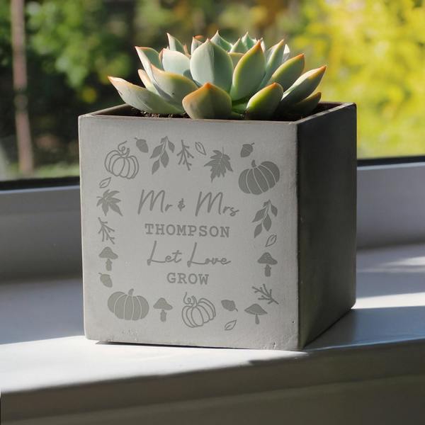 Grey square concrete plant pot engraved with pumpkins and the words Mr & Mrs Thompson Let Love Grow, sitting on a windowsill holding a succulent.