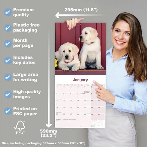 Yellow Labrador Retriever Calendar 2027, Wall Calendars, Month To View, Dogs, Gift