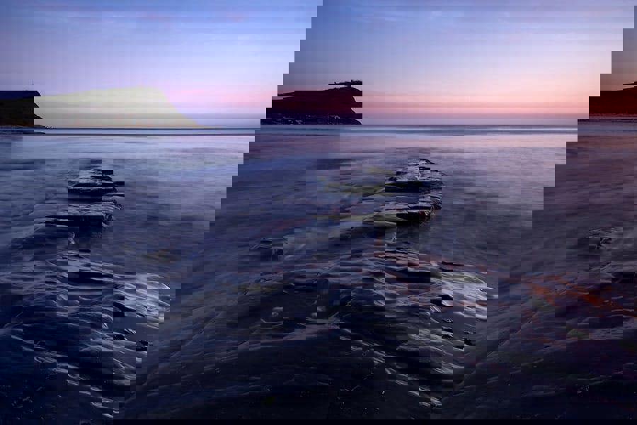 Fernlight Gallery Path To Destiny