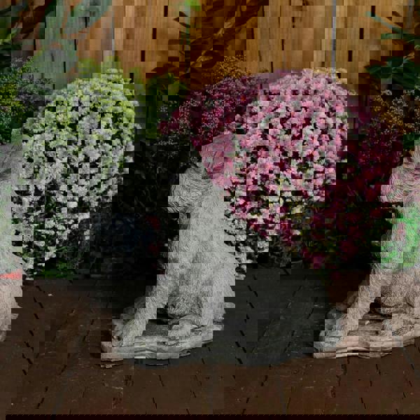 Large Schnauzer Stone Dog garden ornament 