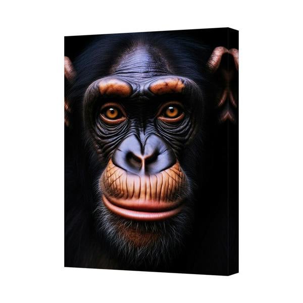 Benjamin Tate Design Chimpanzee Face Close Up Canvas Art For Living Room