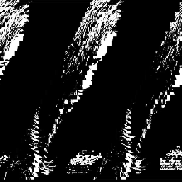 The Chemical Brothers 'Dig Your Own Hole' 2LP Gatefold Black Vinyl