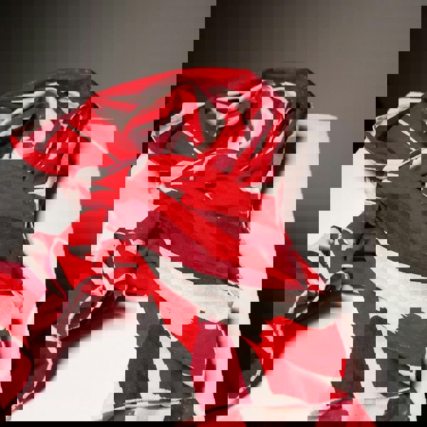 N'Damus London Drapers Ruby Ivory Silk Scarf