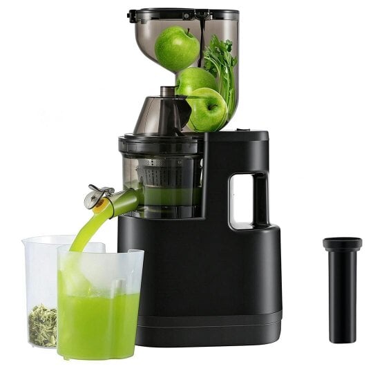 Havendro Electric Juicer Machine Juice Fruit Squeezer Slow Masticating Brush Pulp Cup