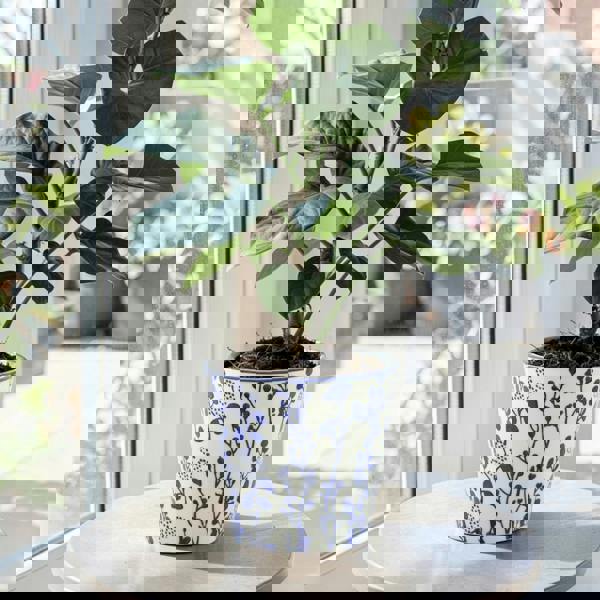 Ceramic Blue and White Floral Planter H19 x W20cm